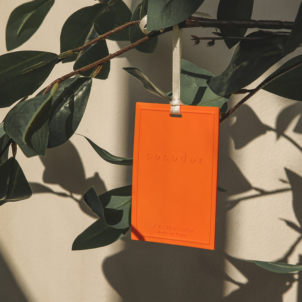 Scented Card Air Freshener [Eucalyptus]