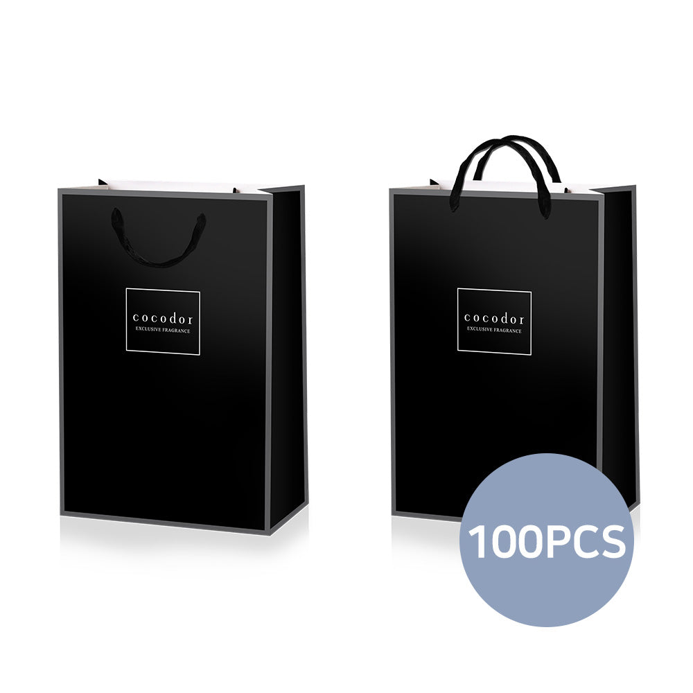 Gift Bag with Handle / Medium / 100 PCS
