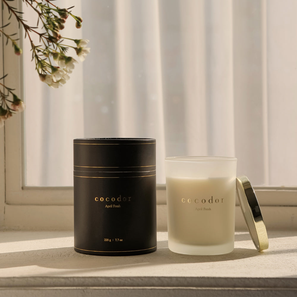 Soy Candle / Medium [Pure Cotton]